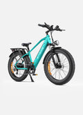 Engwe E26 Electric Bike – 250W 48V 16Ah 26” Tyre