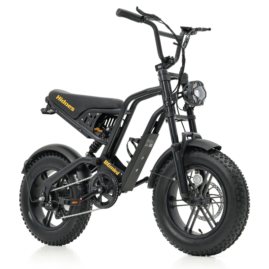 Hidoes HD-B6 Mini Electric Bike 250W 48V 16” Fat Tyre