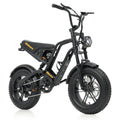 Hidoes HD-B6 Mini Electric Bike 250W 48V 16” Fat Tyre