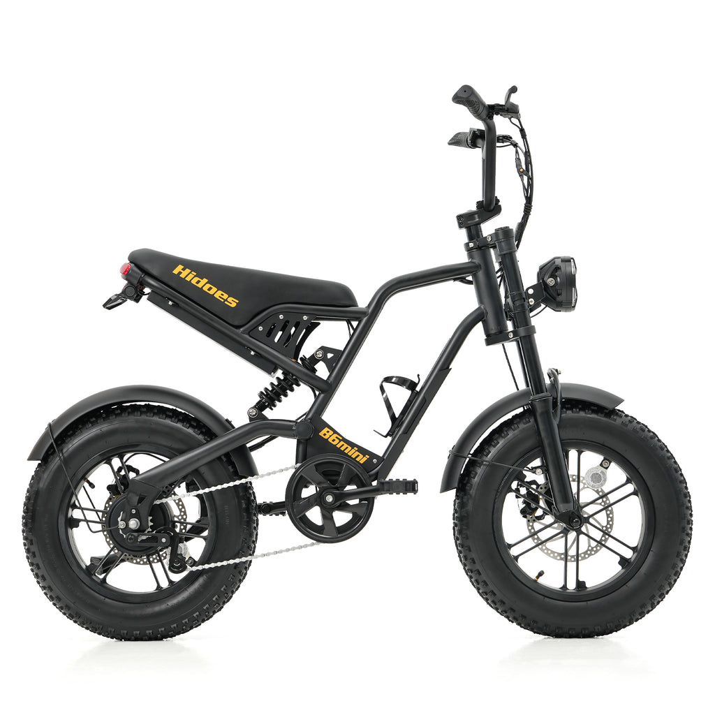 Hidoes HD-B6 Mini Electric Bike 250W 48V 16” Fat Tyre